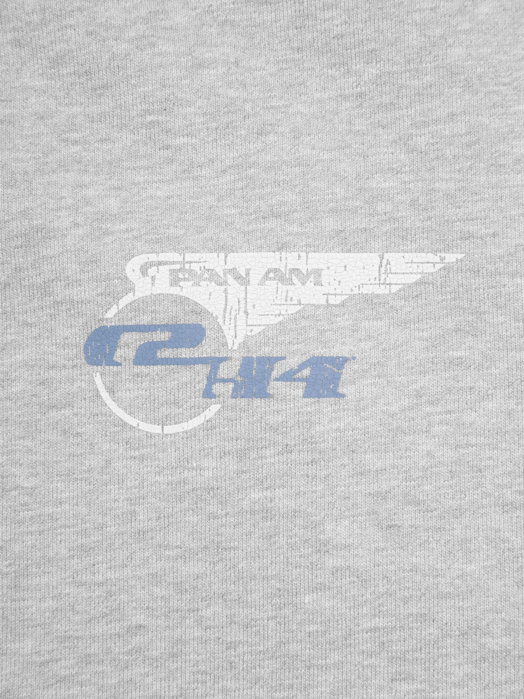 Pan Am® × C2H4® Logo Crewneck